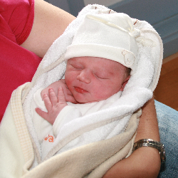 Connor Nick Spruit, een toekomstige bever?