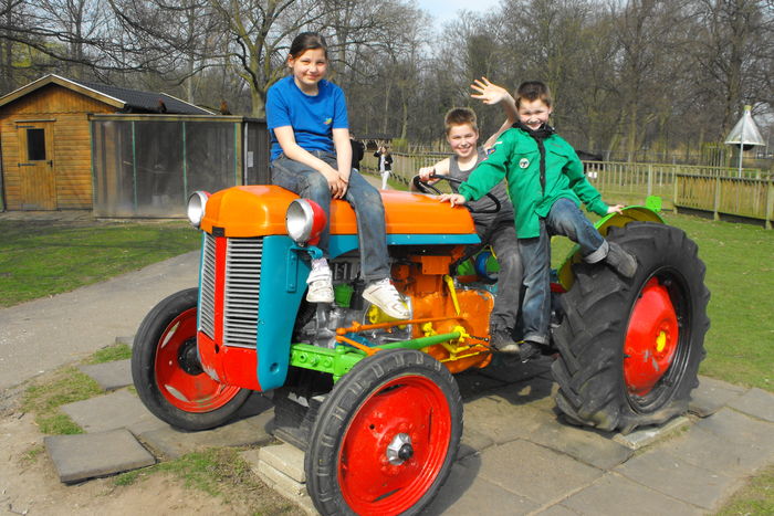 Indianenkamp Scouting Tono (22).JPG