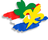 Vereniging Scouting Nederland