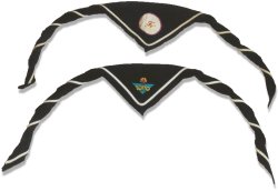 In 1995 wordt overgestapt op een nieuw dasteken.